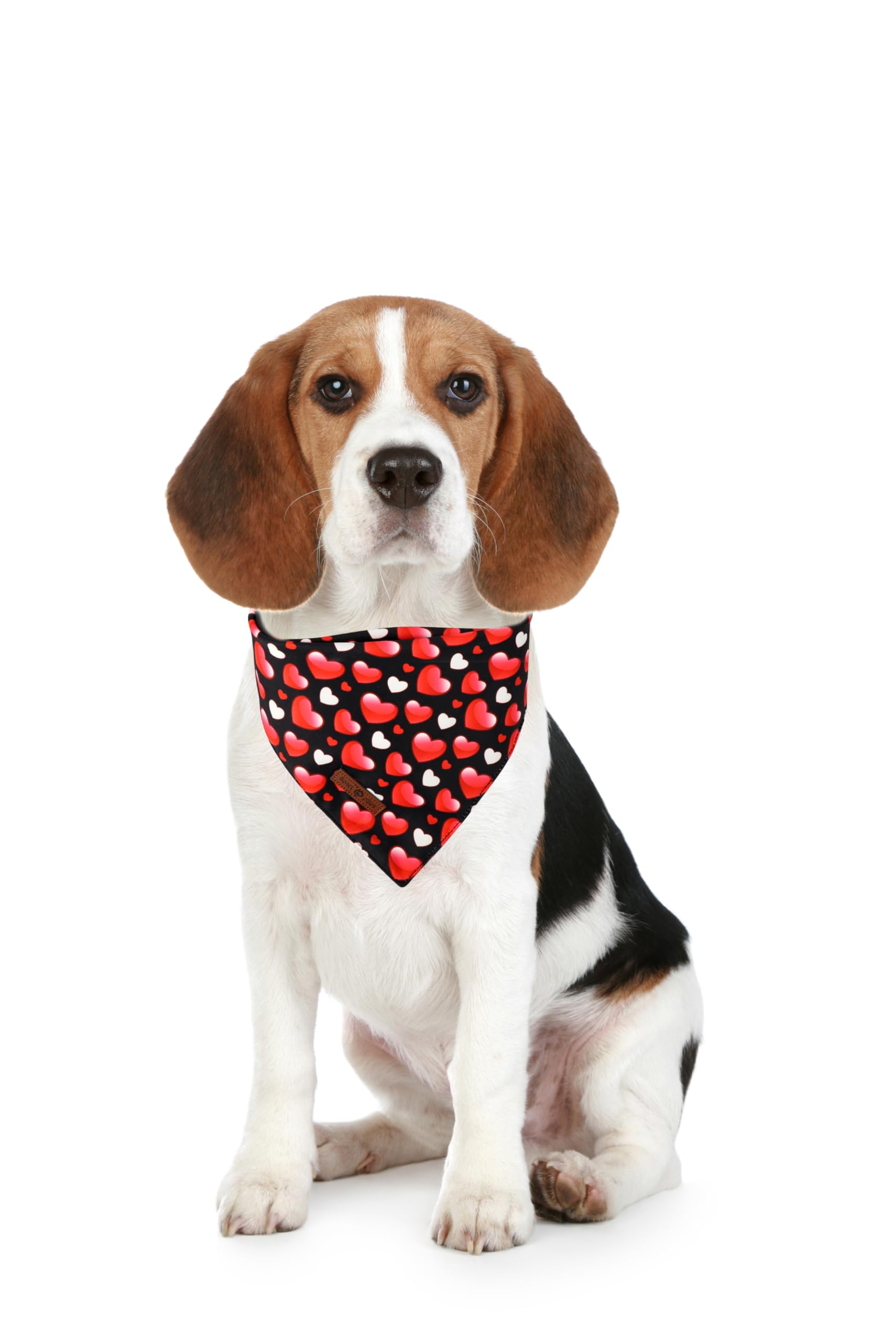 Dog Bandanas, Heart Dog Valentine's Day Scarf Bib Premium Fabric, Happy Valentine Love Bandanas for Dogs Pets