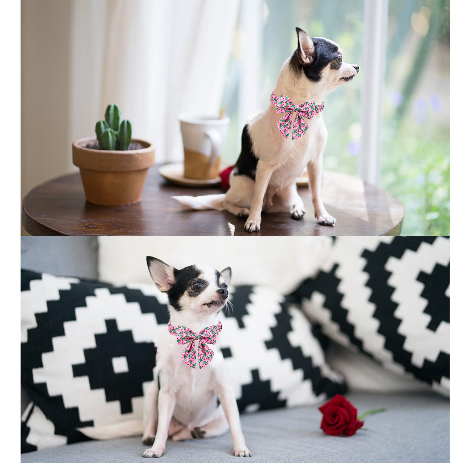 Pink Dinosaur & Heart Puppy Collar with Sailor Bow