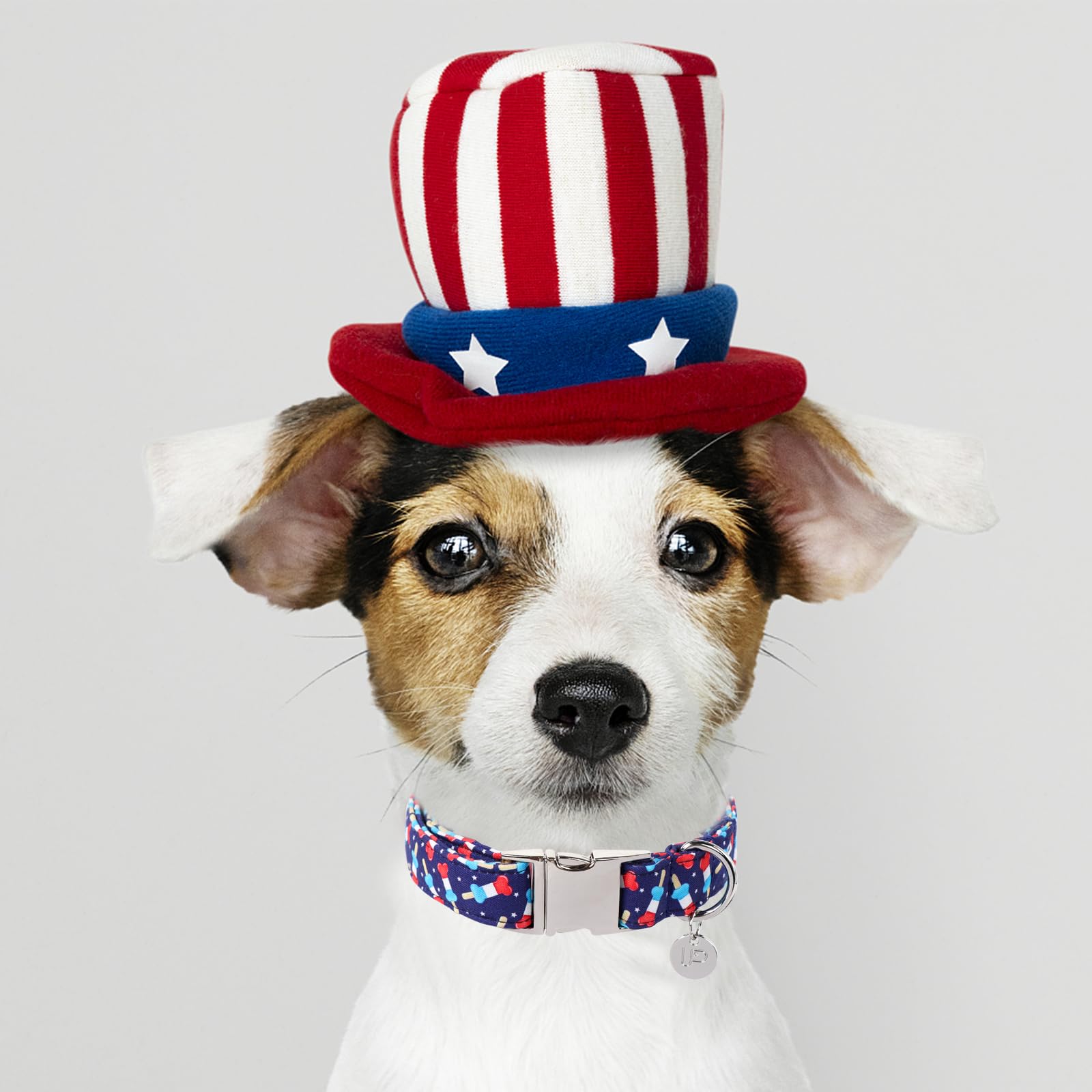 Patriotic Dog Collar, Dog Collar, American Flag Collar for Puppy Boy Girl Dog or Cat, Comfortable Summer Collar with Metal Buckle