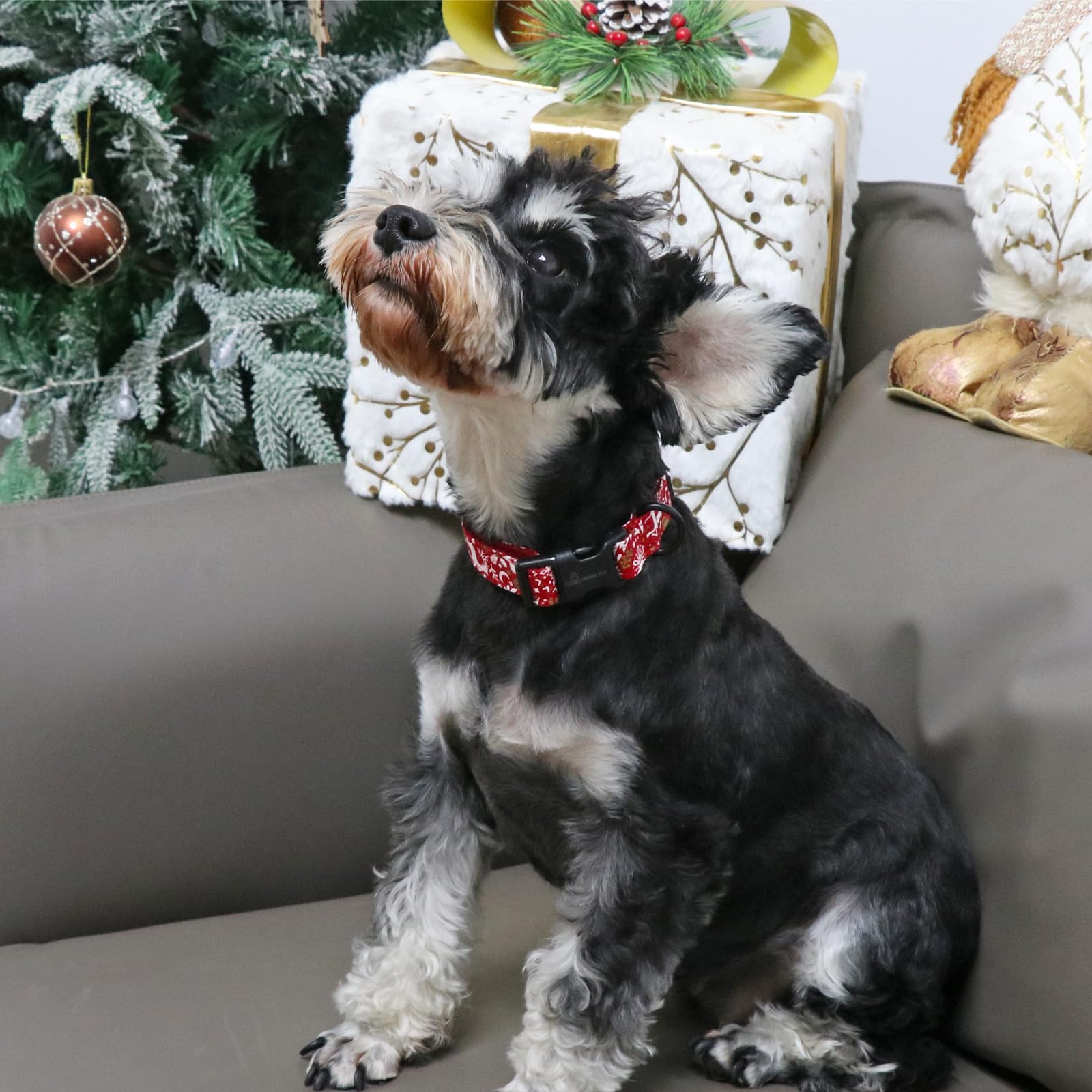 Christmas Dog Collar Cute Red Reindeer Dog Collars, Cotton Lightweight Christmas Dog Collars Puppy Collar for Small Medium Large Dogs