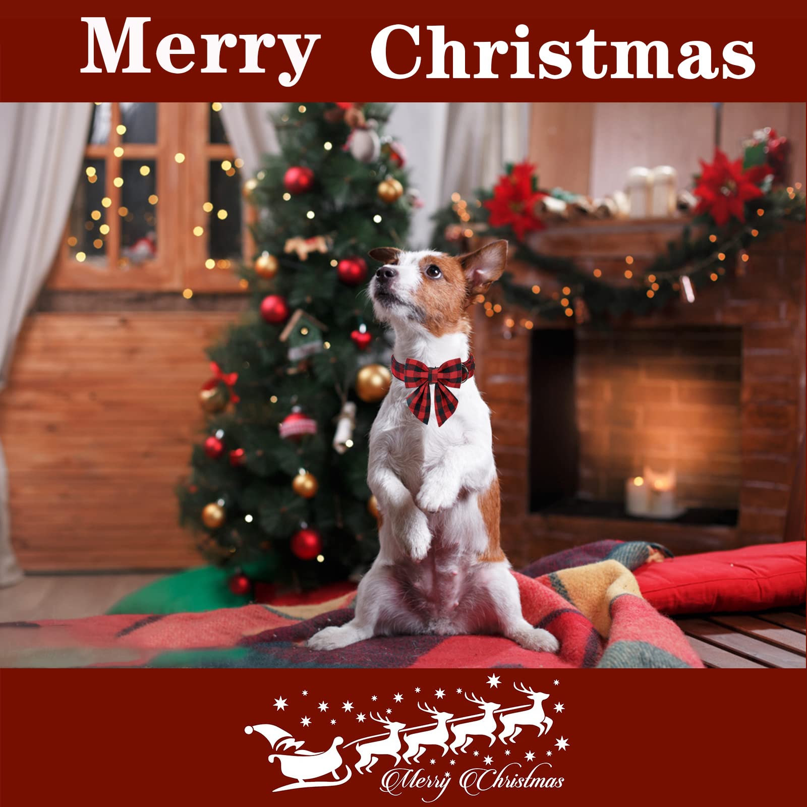 Classic Red Plaid Puppy Collar with Sailor Bow