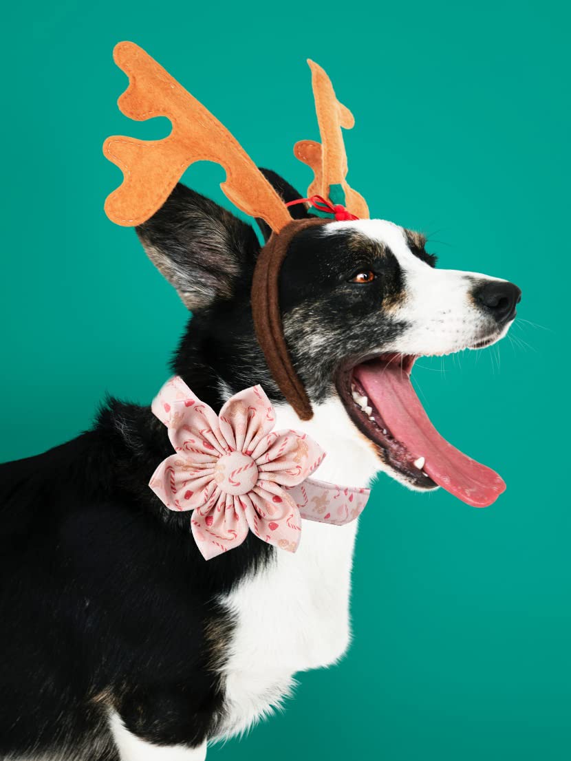 Christmas Dog Collar, Adjustable Dog Collar Flower Pattern Durable Pet Collar With Flower