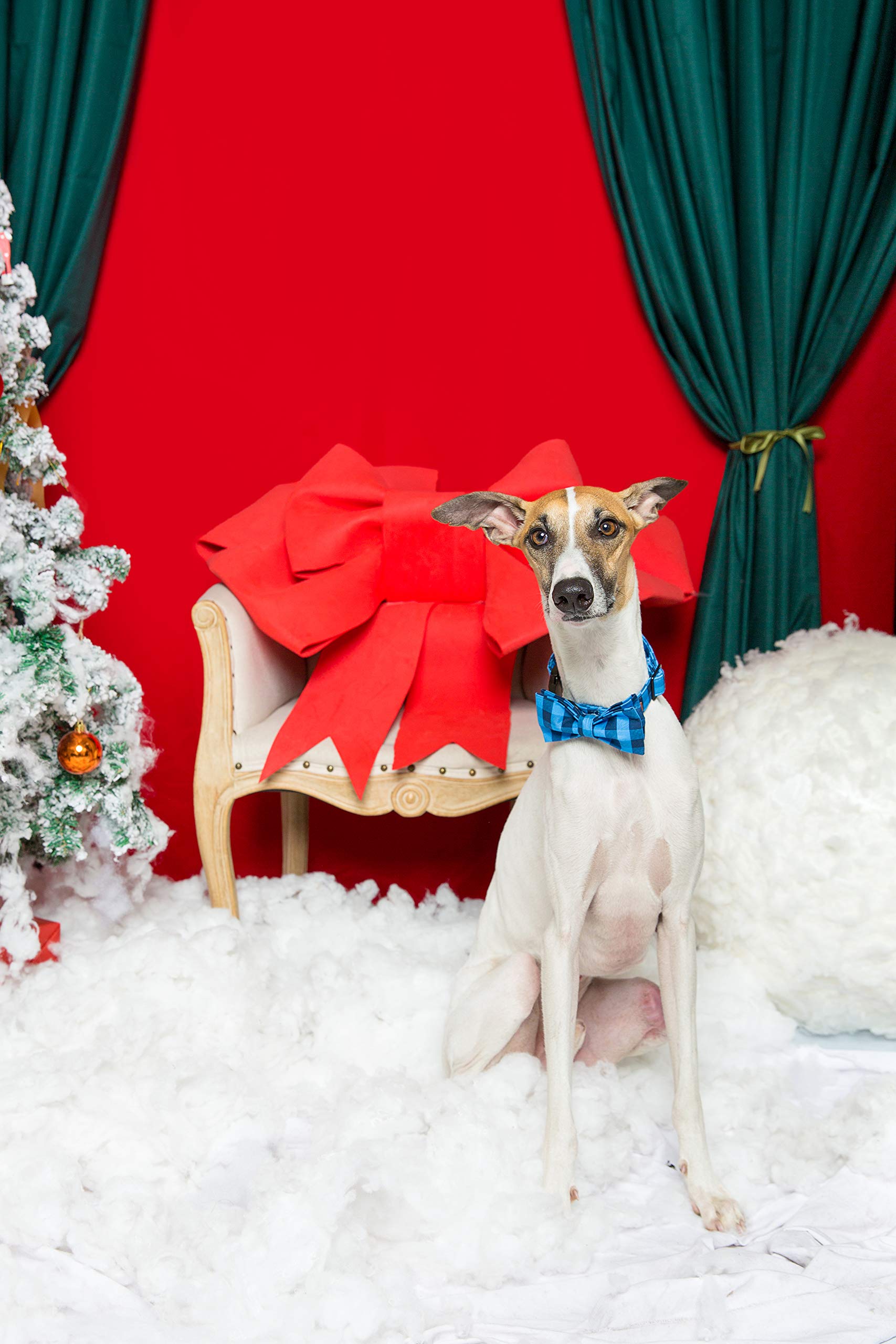 Soft &Comfy Bowtie Dog Collar and Cat Collar