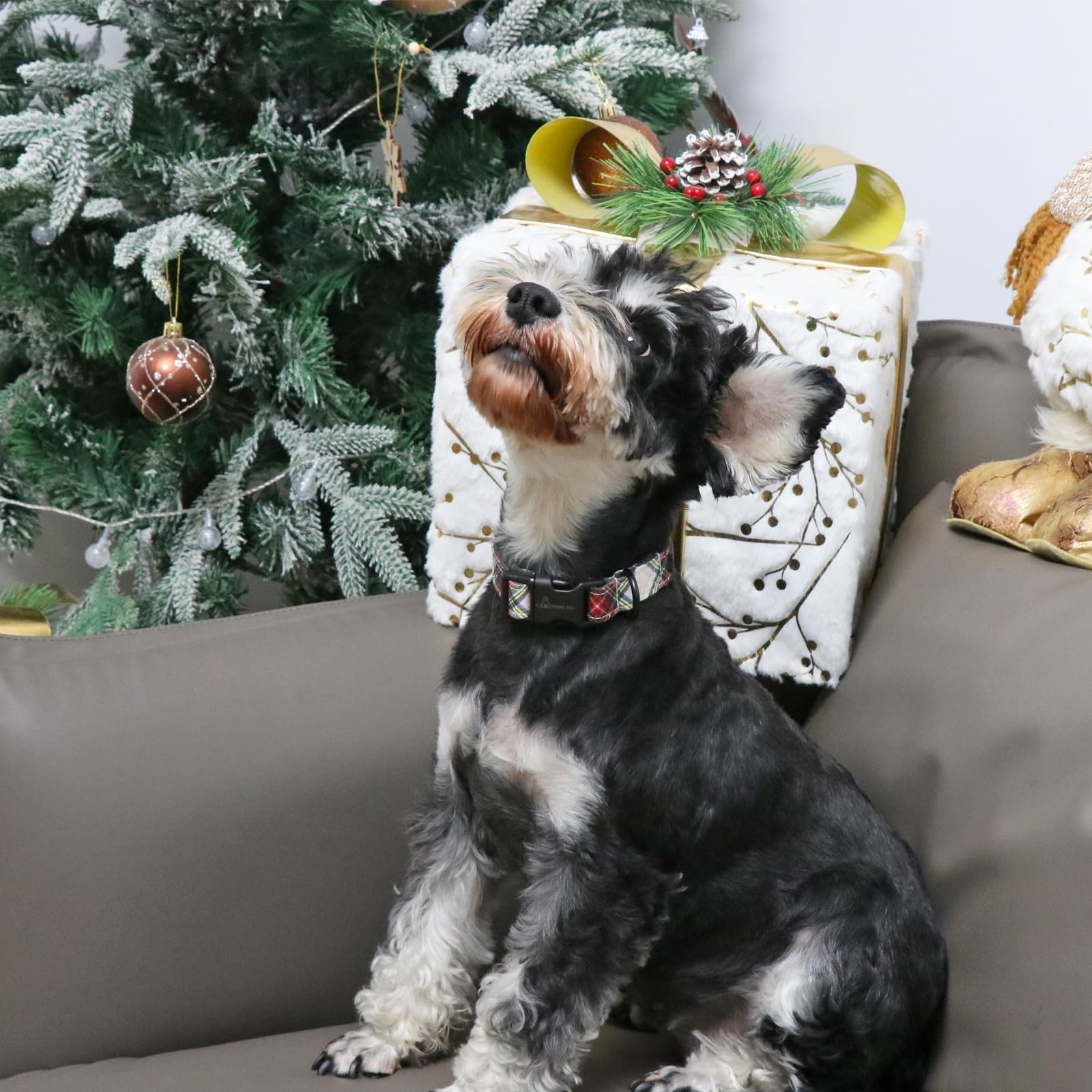 Christmas Dog Collar Cute Plaid Dog Collar, Cotton Lightweight Christmas Small Dog Collars Puppy Collar for Small Medium Large Dogs