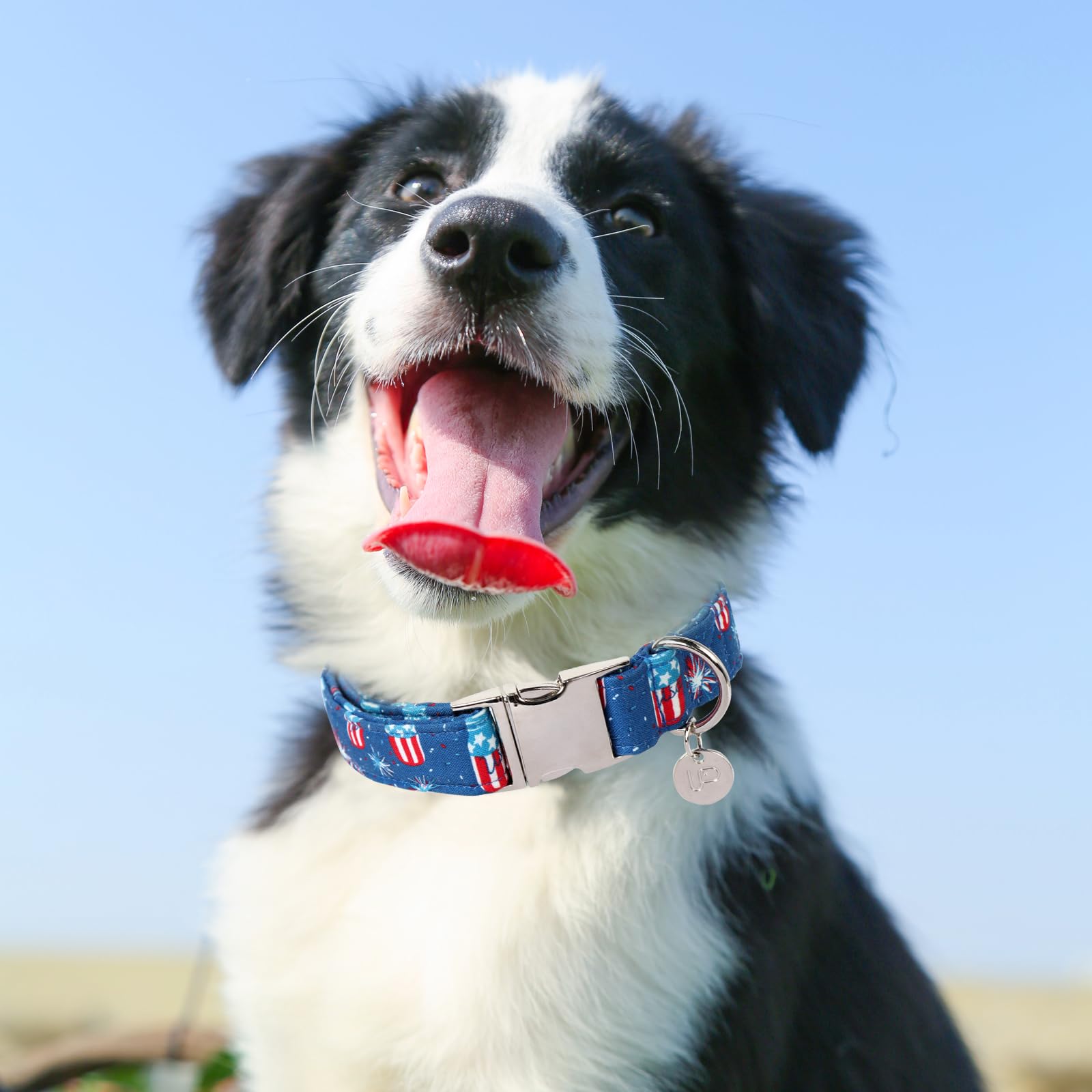 4th of July,Dog Collar, Patriotic Dog Collar, American Flag Collar for Puppy Boy Girl Dog or Cat, Comfortable Summer Collar with Metal Buckle