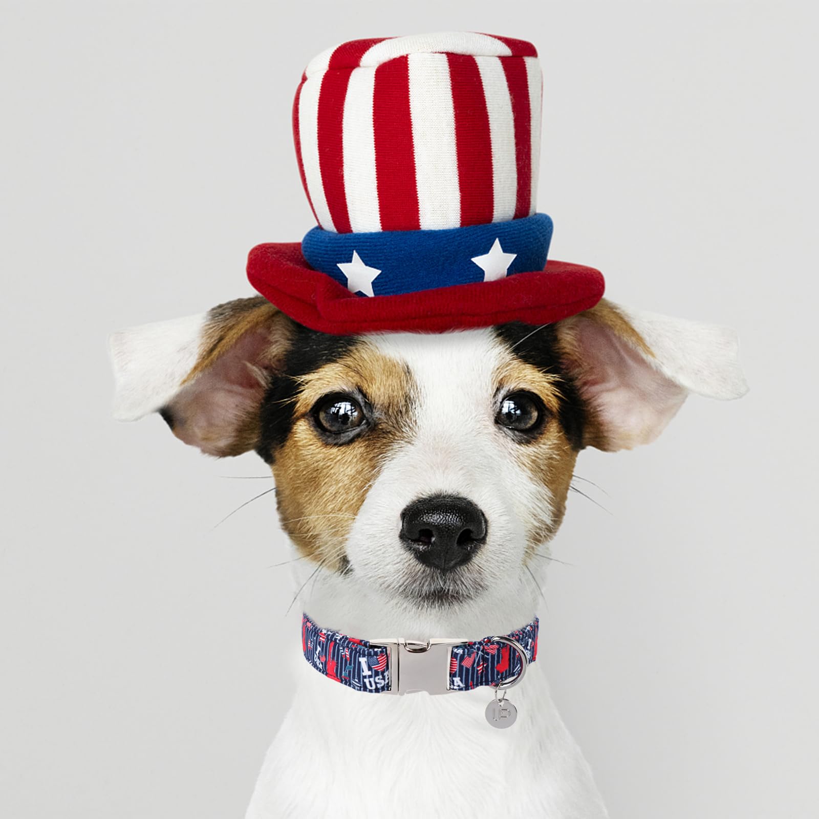 Patriotic Dog Collar, 4th of July Dog Collar, American Flag Collar for Puppy Boy Girl Dog or Cat, Comfortable Summer Collar with Metal Buckle