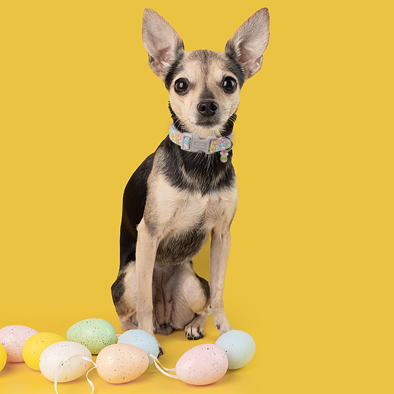 Easter Day Dog Collar Plastic Buckle Collar with Pendant Blue Sports Rabbit Ball Egg Puppy Collars Gift for Small Medium Large Boys Girls Dogs