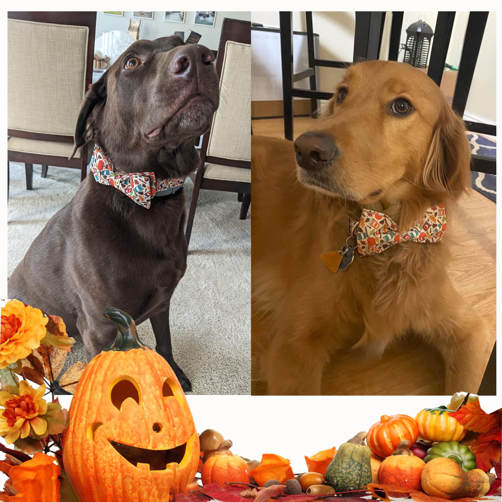 Fall Dog Collar with Bowtie Adjustable Collars for Collar
