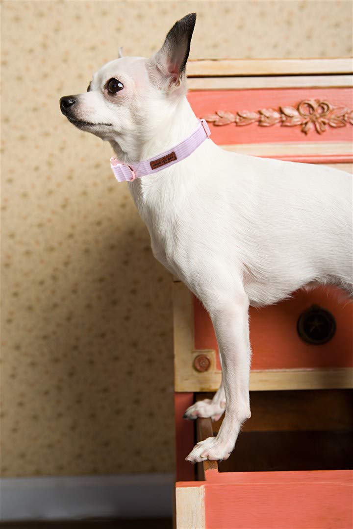 Spring Pink Dog Collar with Bow