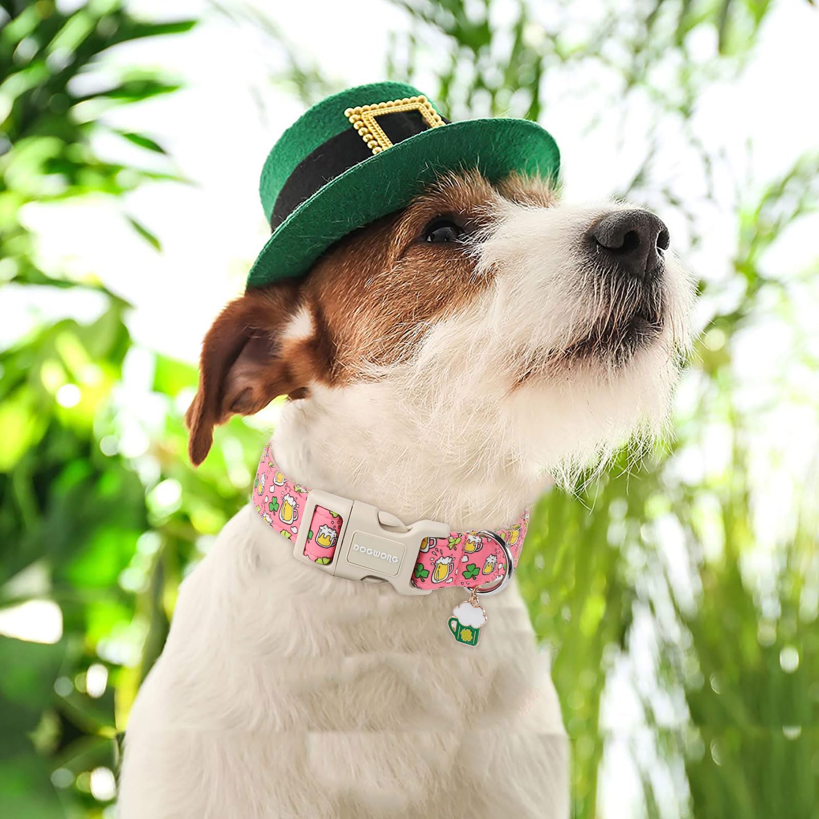St. Patrick's Day Dog Collar, Pink Green Clover Dog Collars, Adjustable St. Patrick's Day Pet Collars Beer Dog Collar with Quick Release Buckle for Girl Female Dogs