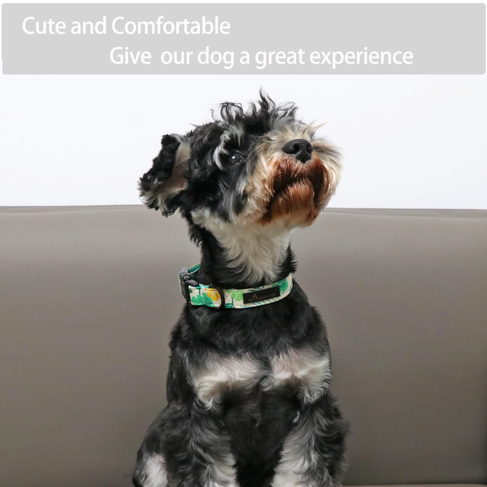 Summer Dog Collar-Lightweight Dog Collar for Small Dogs, Adjustable Comfortable Cotton Dog Collars for Small Medium Large Dogs