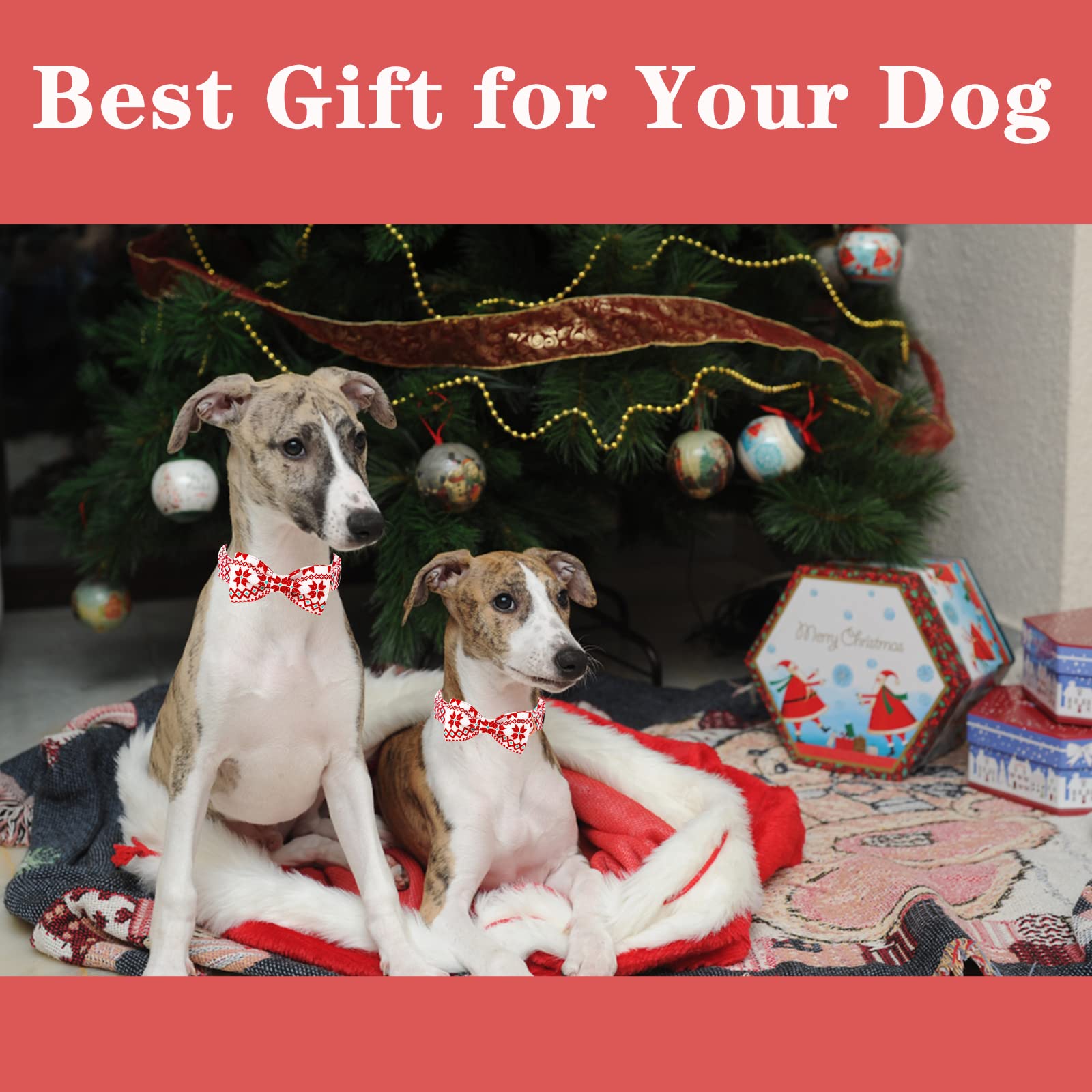 Christmas Dog Collar with Bowtie
