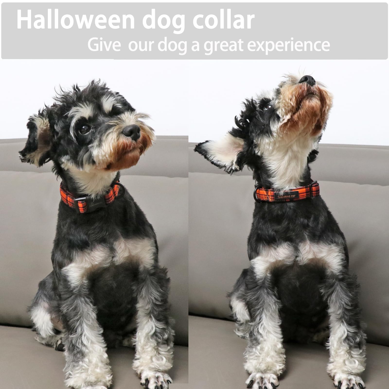 Halloween Dog Collar-Cute Fall Dog Collar for Small Dogs, Cotton Halloween Orange Grid Dog Collars for Small Medium Large Female and Male Dogs