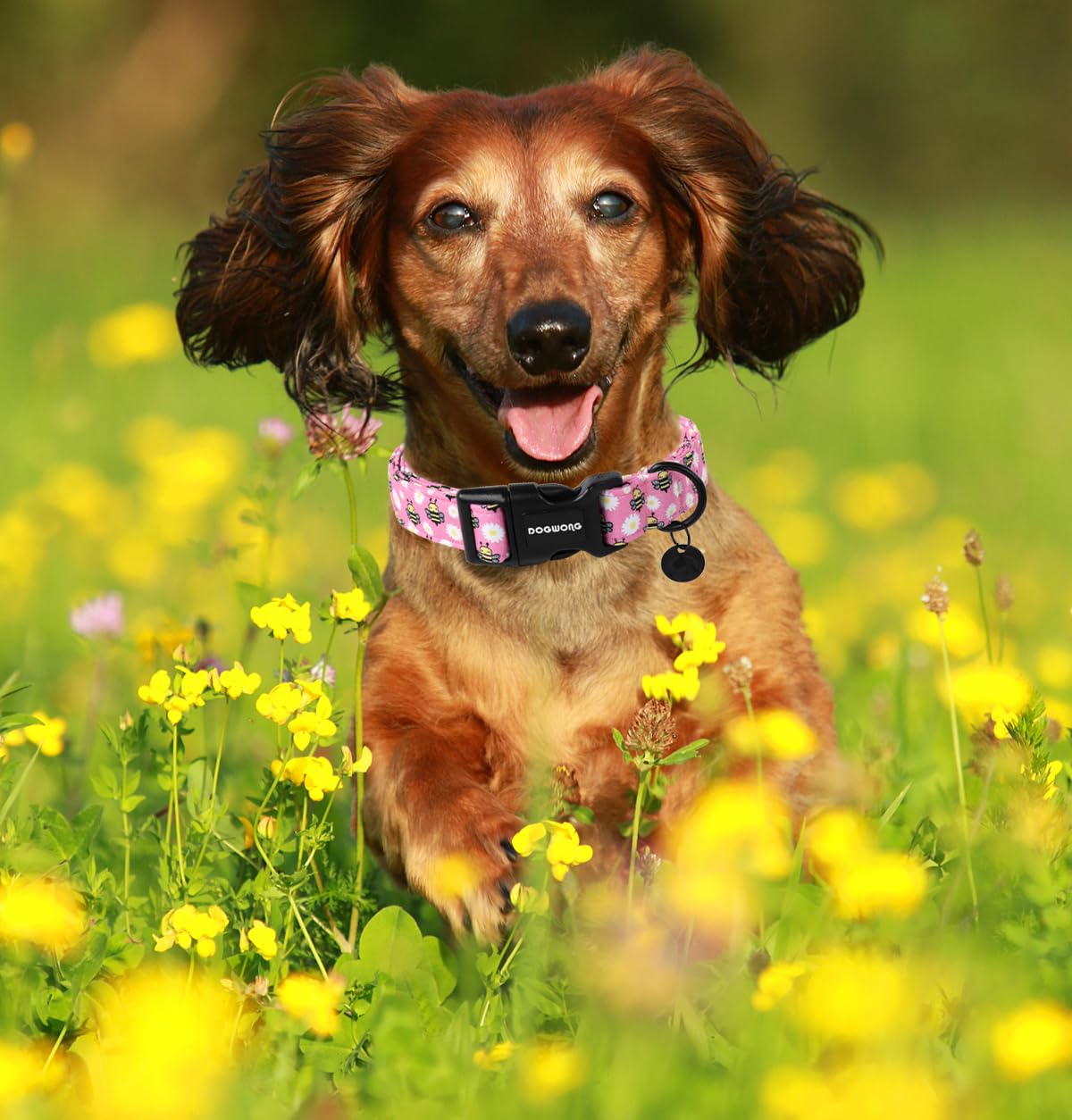 Pink Dog Collar, Female Dog Collar Durable Soft Natural Fabric Pet Girl Dog Collar Cute Daisy Puppy Necklace for Small Medium Large Dog
