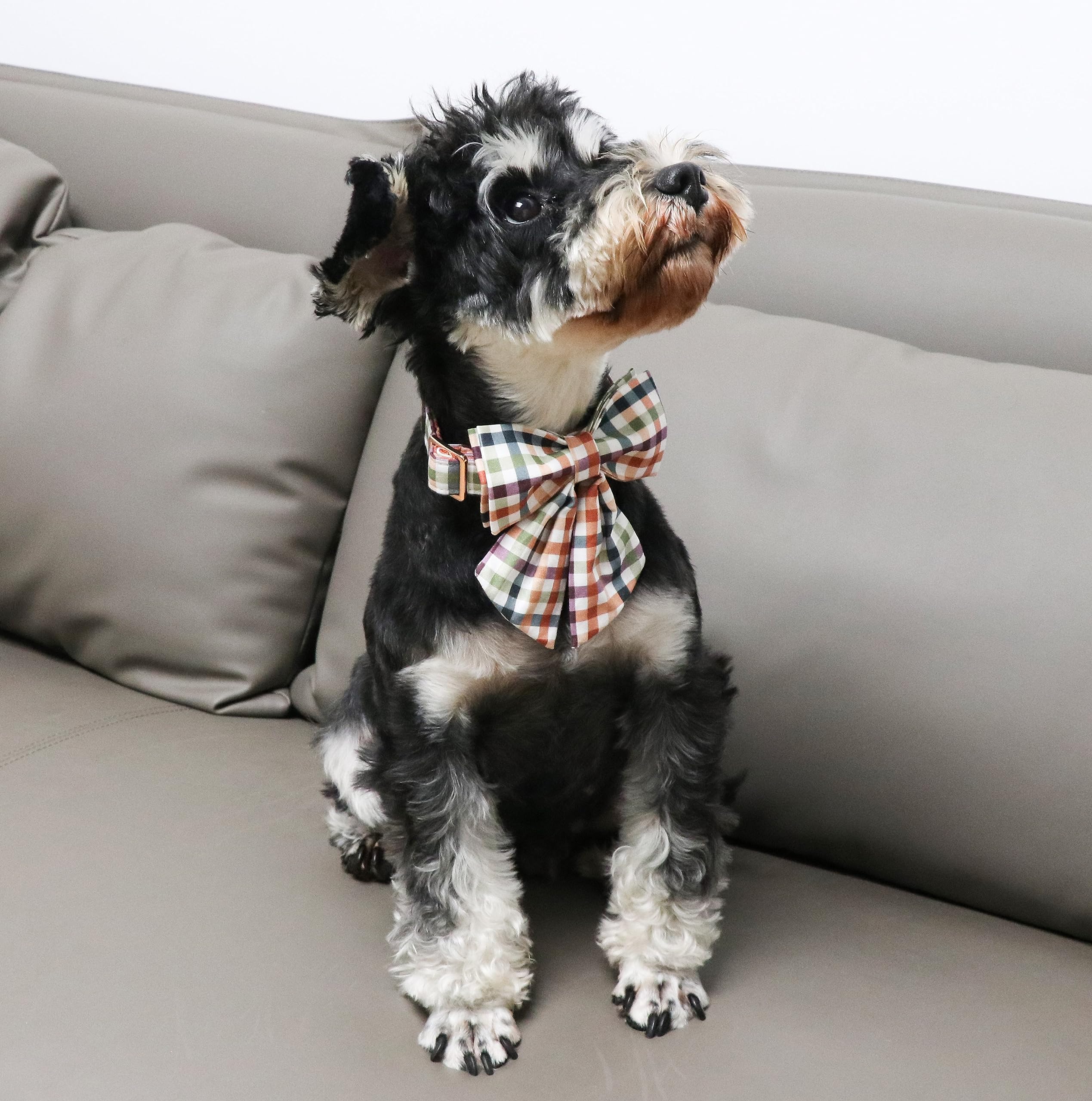 Bow Floral Plaid Colorful Dog Collar with Sailor Bow