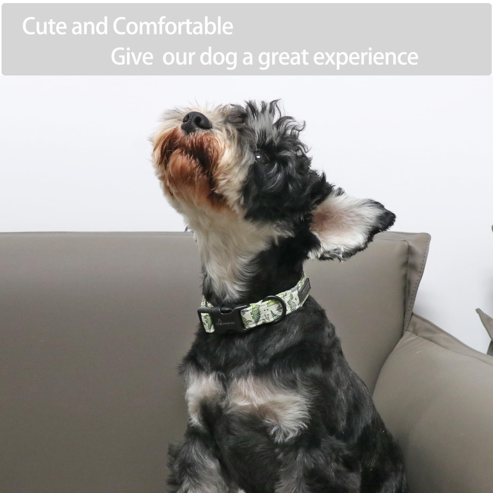Dinosaur Dog Collar-Cute Dog Collar for Small Dogs, Adjustable Comfortable Cotton Boy Dog Collars for Small Medium Large Dogs