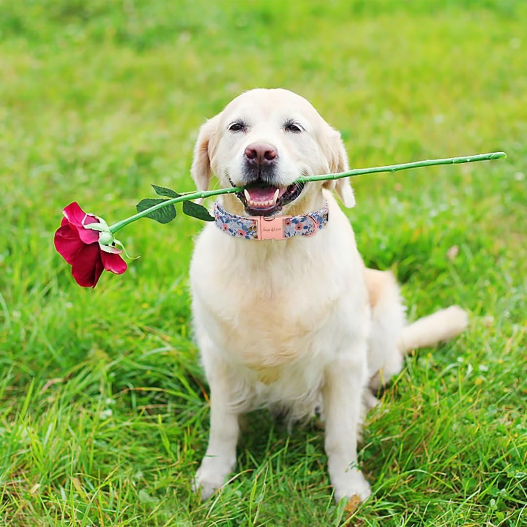 Dog Collar Metal Buckle Red Rose Collar Flower Gift Durable Cute Collar for Small Medium Large Boys Girls Dogs