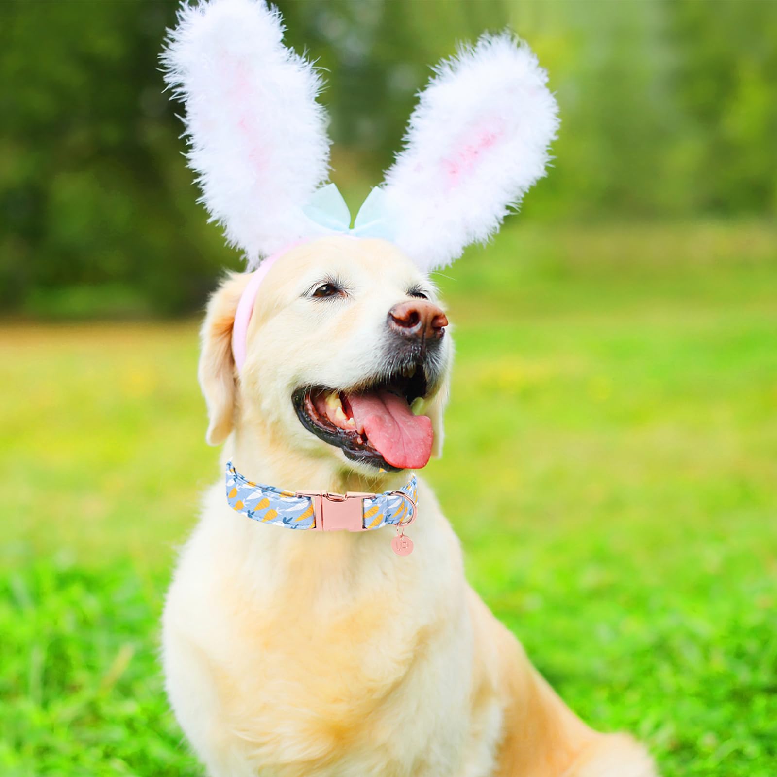 Easter Dog Collar, Cotton Easter Egg Collar for Puppy Girl Boy Dog or Cat, Easter Day Gift Rabbit Dog Collar, Cute Carrot Pet Dog Collar with Metal Buckle