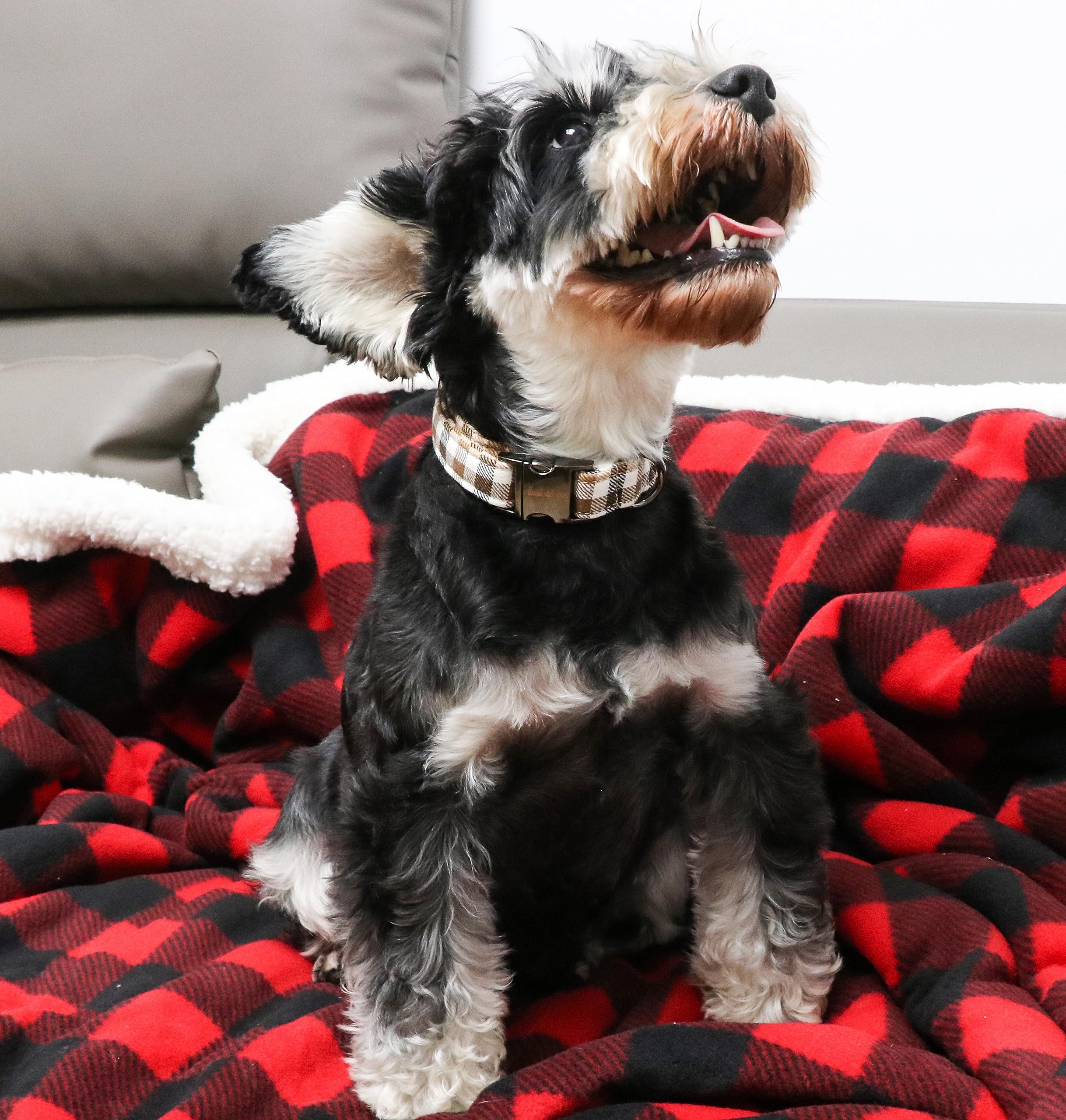 Dog Collar Metal Buckle Brown Plaid Collar Gift Durable Cute Collar for Small Medium Large Boys Girls Dogs