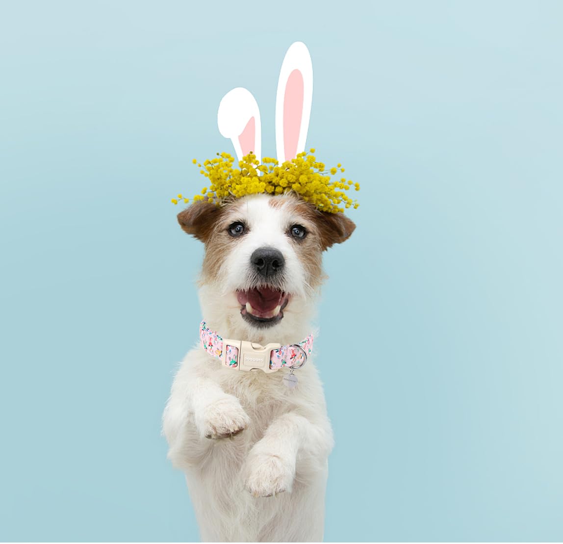 Easter Rabbit Dog Collar, Colorful Egg Dog Collar Soft Durable Adjustable Comfortable Cute Easter Puppy Collar for Small Medium Large Dog