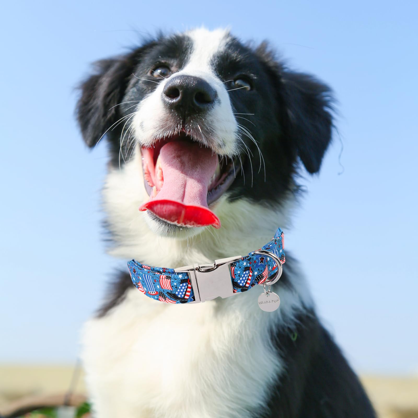 Patriotic Dog Collar, 4th of July Dog Collar, American Flag Collar for Puppy Boy Girl Dog or Cat, Comfortable Summer Collar with Metal Buckle