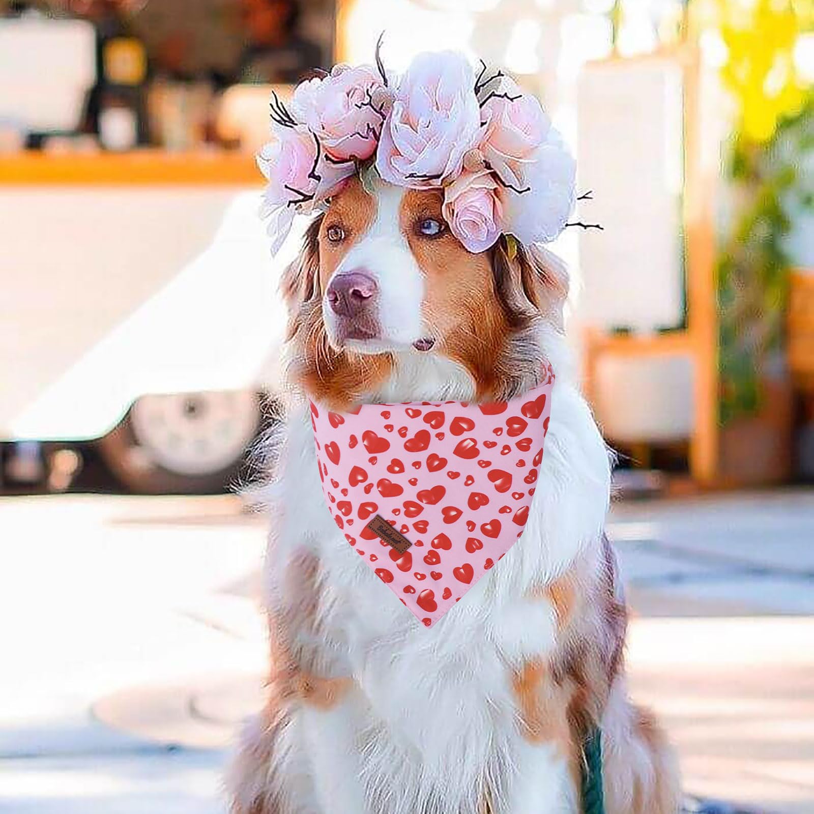 Valentine's Day Dog Bandanas 2 Pack, Pink and Blue Heart Pattern Valentines Dog Scarf Bib for Boy and Girl, Cute Holiday Bandana for Dogs and Cats