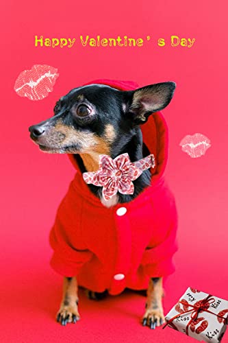 Valentine's Day Adjustable Dog Collar Flower Pattern