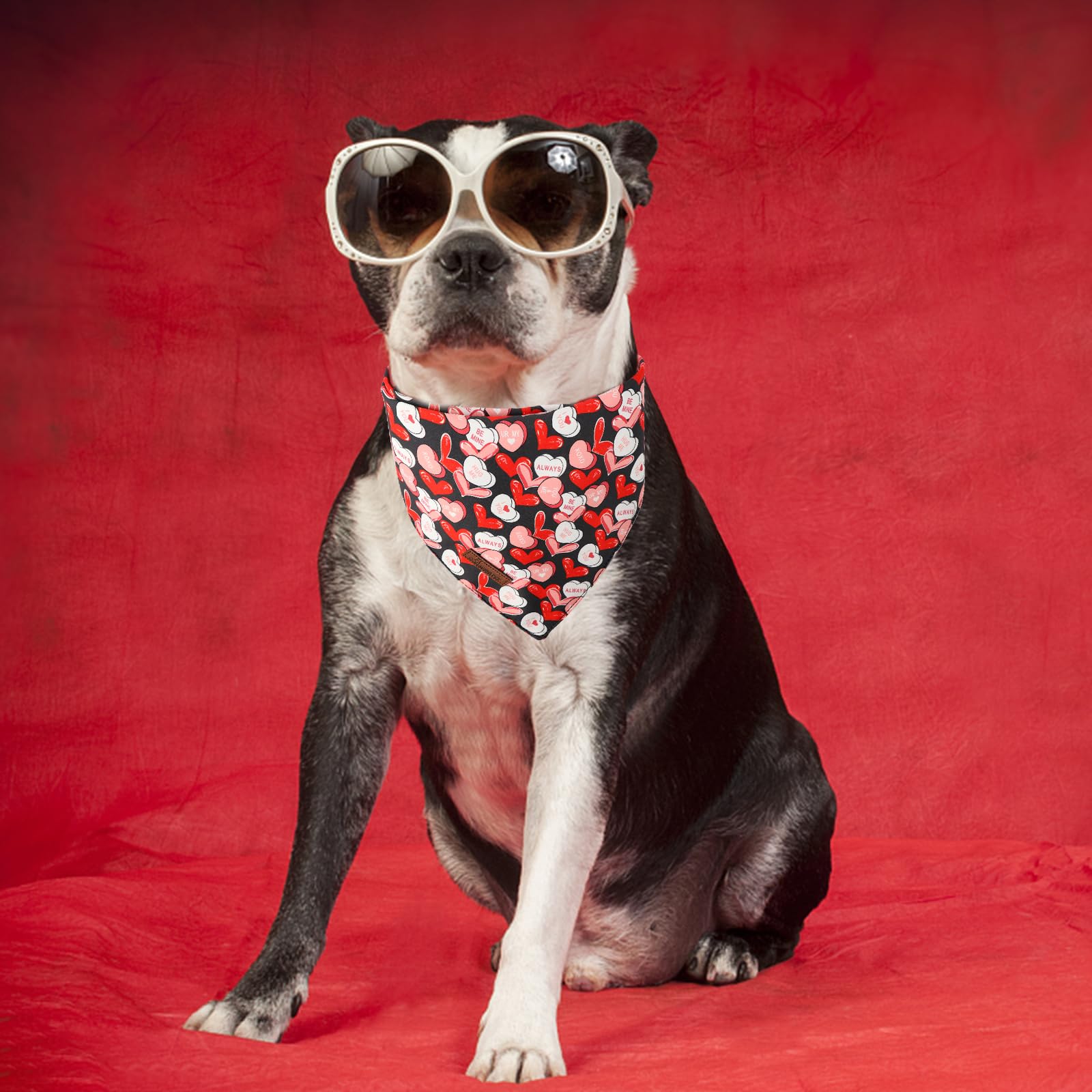 Valentine's Day Dog Bandana 2 Pack-Cute Black&Red Heart Dog Bandanas, Reversible Wedding Dog Triangle Bibs Pet Scarf Gifts for Dogs and Cats