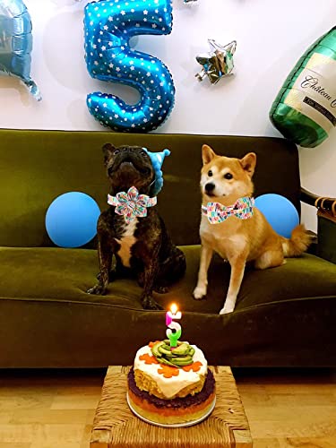 Adjustable Birthday Dog Collar Flower Pattern