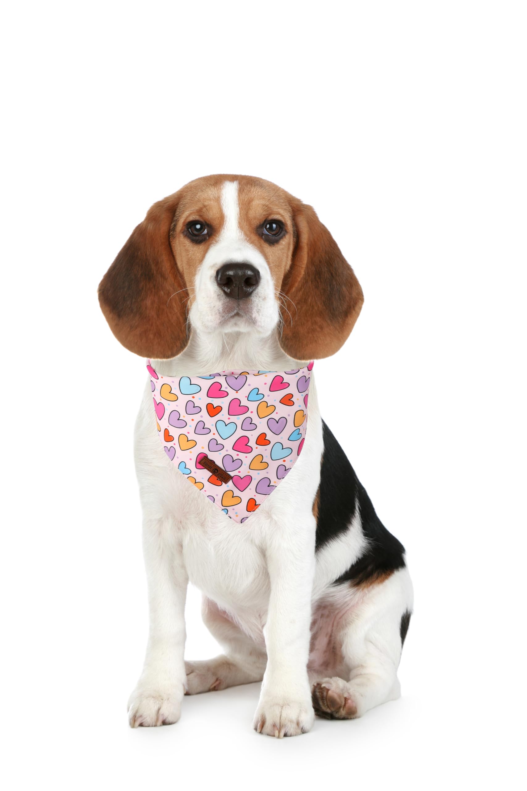 Dog Bandanas, Heart Dog Valentine's Day Scarf Bib Premium Fabric, Happy Valentine Love Bandanas for Dogs Pets