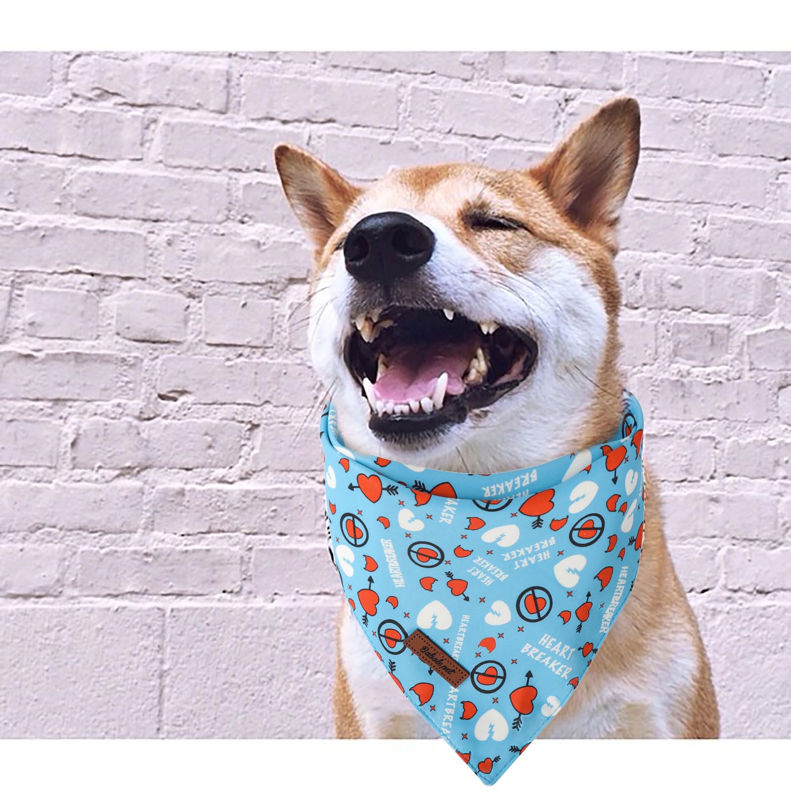 Valentine's Day Dog Bandanas 2 Pack, Pink and Blue Heart Pattern Valentines Dog Scarf Bib for Boy and Girl, Cute Holiday Bandana for Dogs and Cats