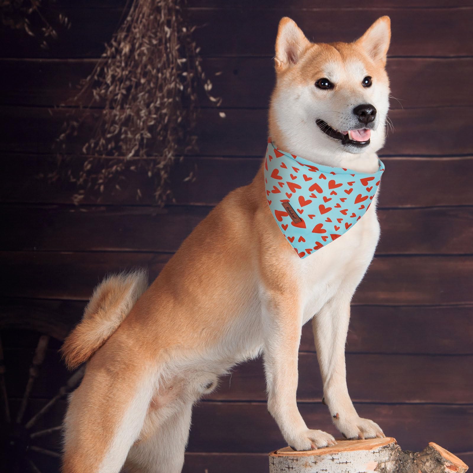 Valentine's Day Dog Bandanas 2 Pack, Pink and Sky Blue Heart Pattern Valentines Dog Scarf Bib for Boy and Girl, Cute Holiday Bandana for Dogs and Cats