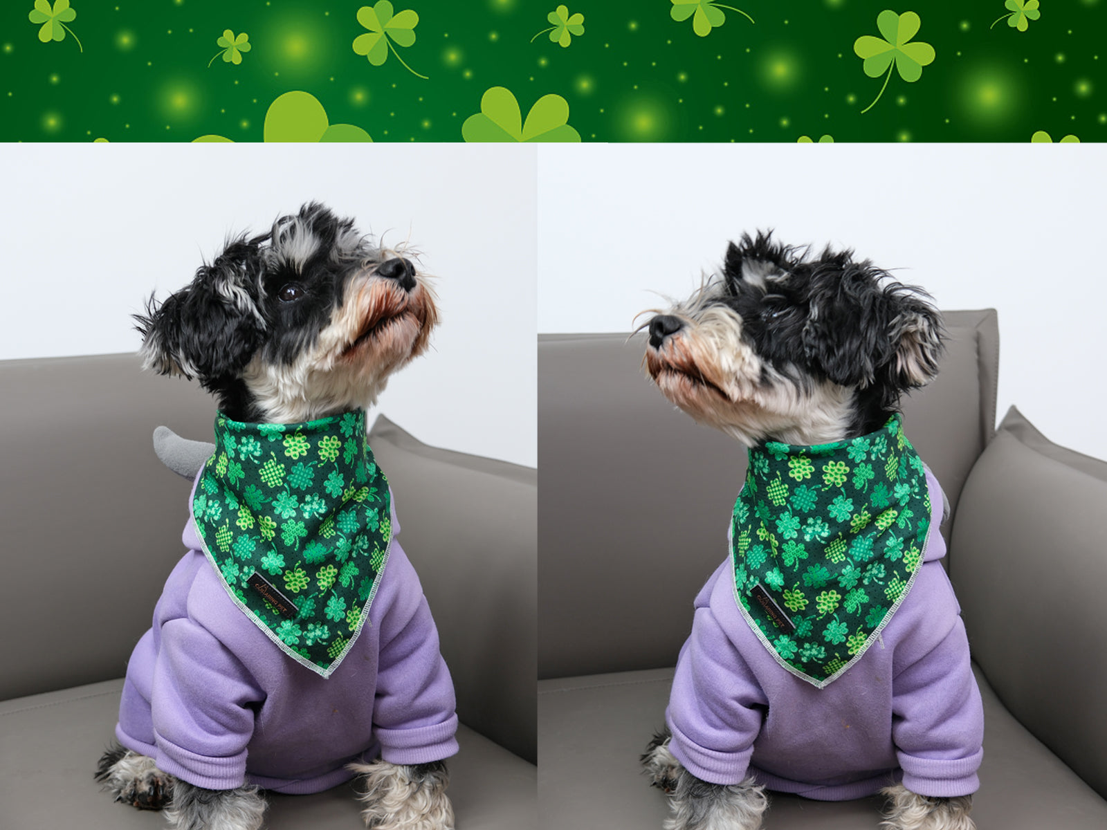 St. Patrick's Day Dog Bandana Handkerchief Scarf for Male Female Dog, Green Clover
