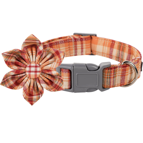 Orange Dog Collar with Flower for Female Dog