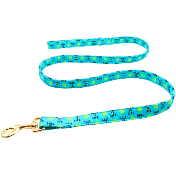 Dog Leash for Small Medium Large Dog Matching Collar, Tennis Ball Pattern