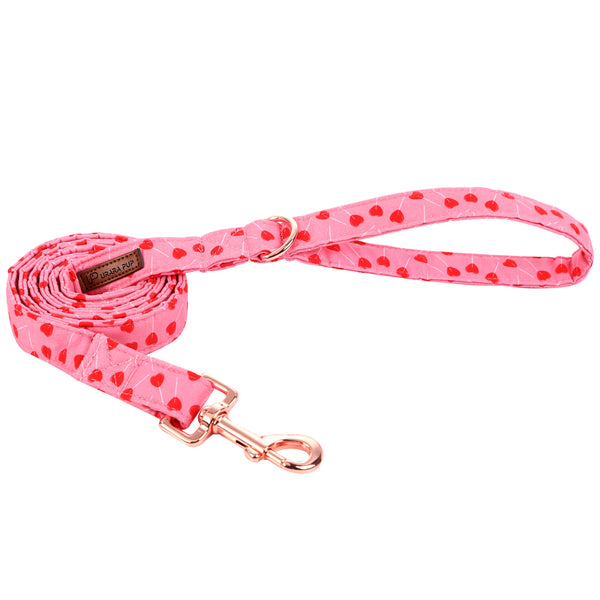 Valentine's Day Dog Leash for Small Medium Large Dog