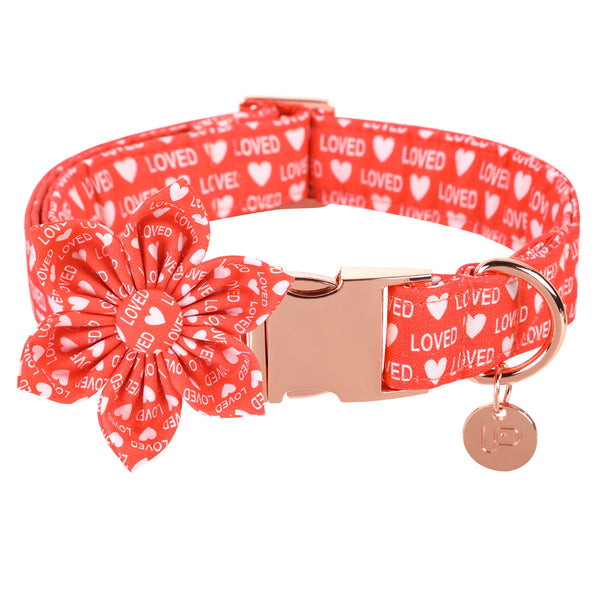 Valentine's Day Dog Collar with Flower for Female Dog