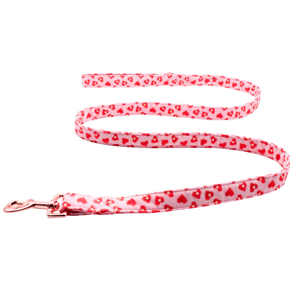 Valentine's Day Dog Leash for Small Medium Large Dog Matching Collar