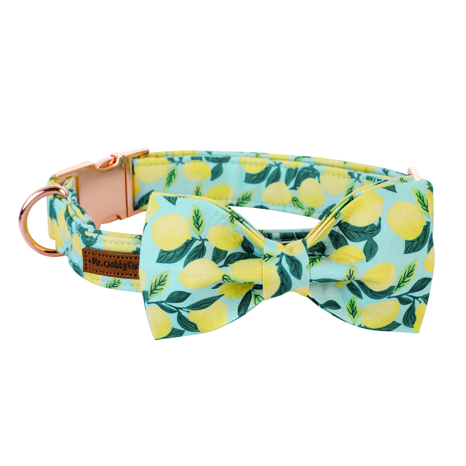 Cotton Bowtie Dog Collar with Metal Buckle for Girl or Boy, Lemon Pattern
