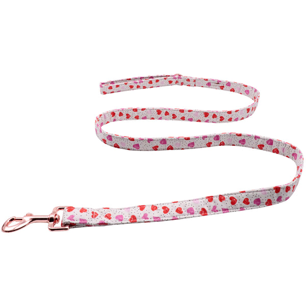 Valentine's Day Dog Leash for Small Medium Large Dog Matching Collar