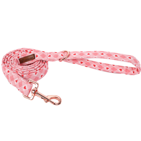 Valentine's Day Dog Leash for Small Medium Large Dog