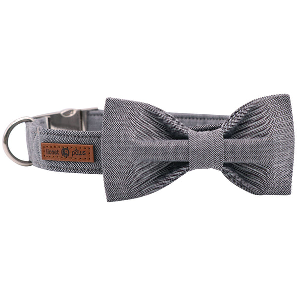 Dog Collar with Bowtie for Boy and girl, Gray