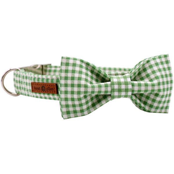 Spring Bowtie Dog Collar with Metal Buckle for Boy or Girl, Green
