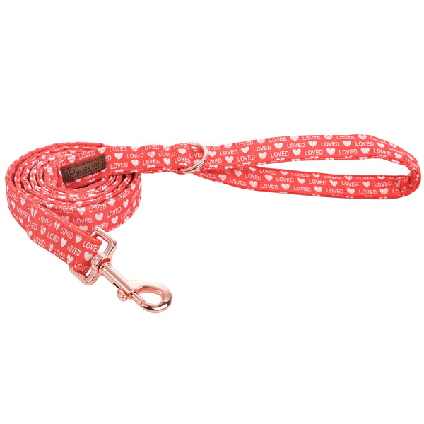 Valentine's Day Dog Leash for Small Medium Large Dog