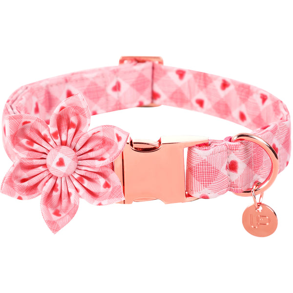 Valentine's Day Dog Collar with Flower for Female Dog