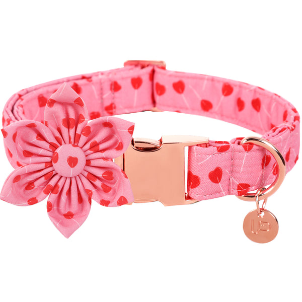Valentine's Day Dog Collar with Flower for Female Dog