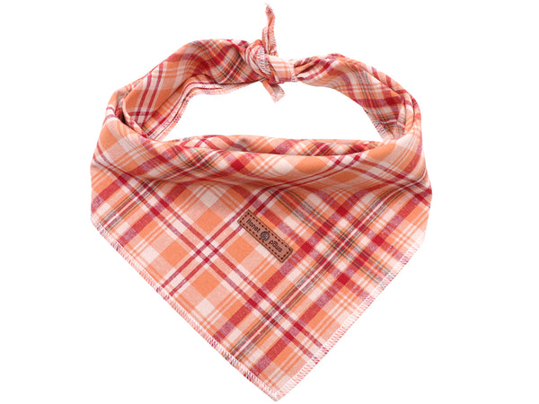 Orange Dog Bandana Handkerchief Scarf Triangle Bandana for Male Female Dog