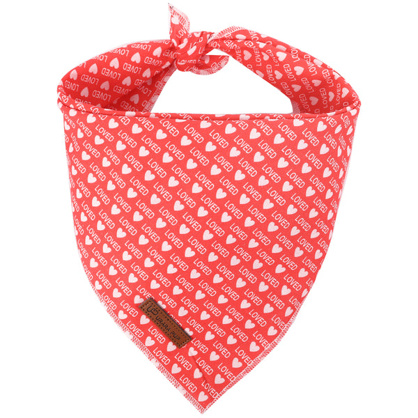 Valentine's Day Dog Bandana for Small Medium Large Female Dogs Gift