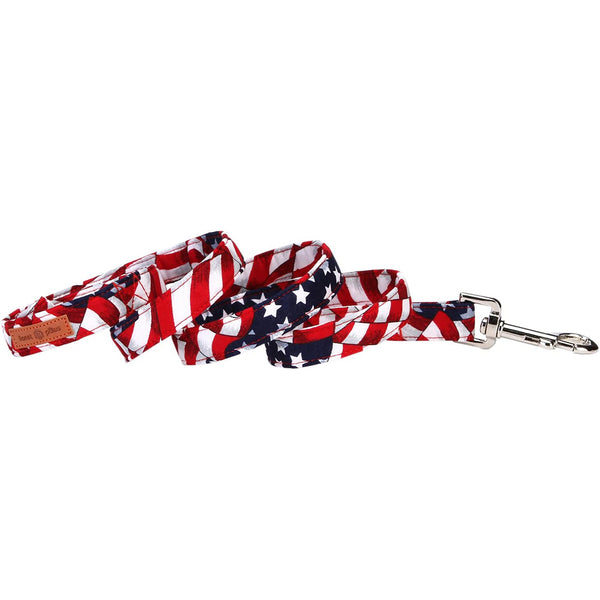 Patriotic Dog Leash for Small Medium Large Dog Matching Collar, 4th of July