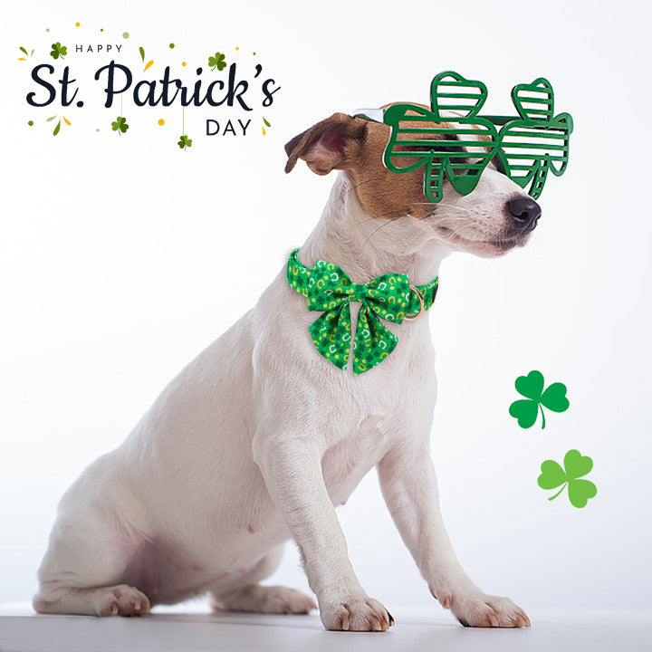 St Patrick's Day Dog Collar with Sailor Bow for Girl
